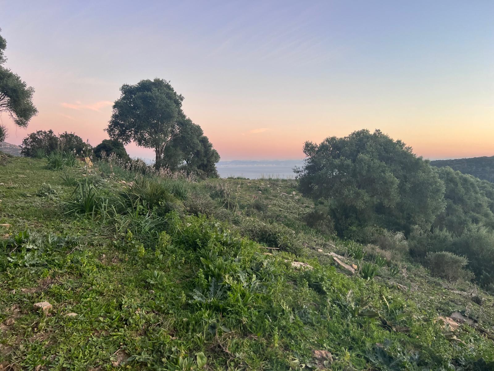 Plot · Tarifa · (963-00218P)