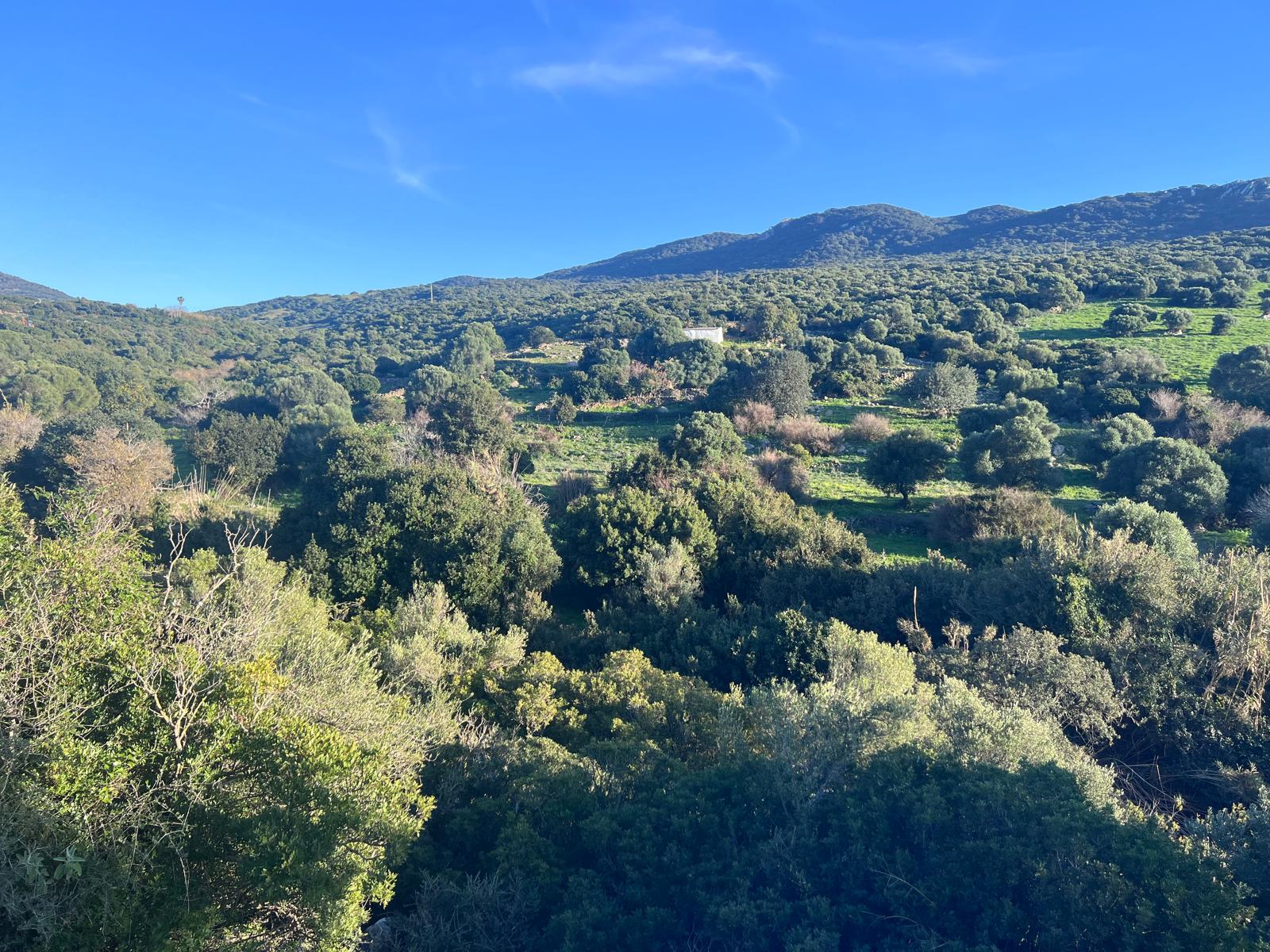 Plot · Tarifa · (963-00218P)
