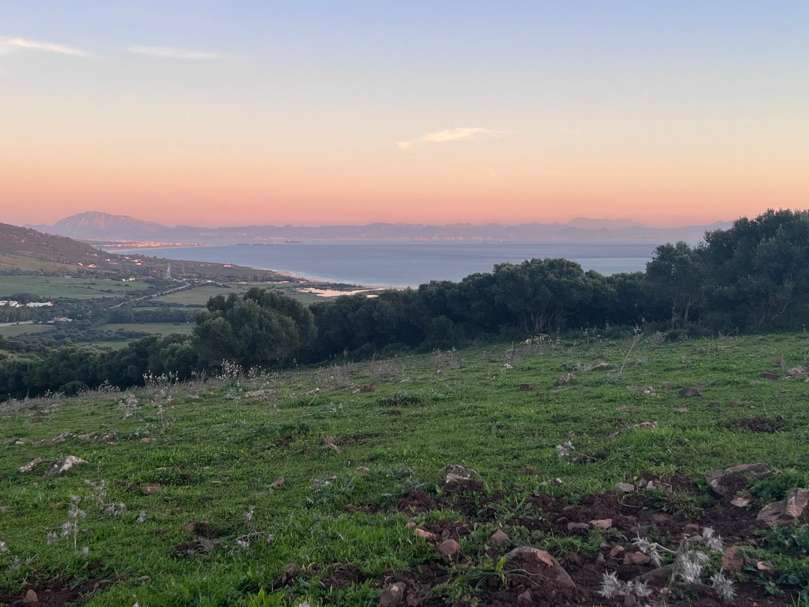 Plot · Tarifa · (963-00218P)
