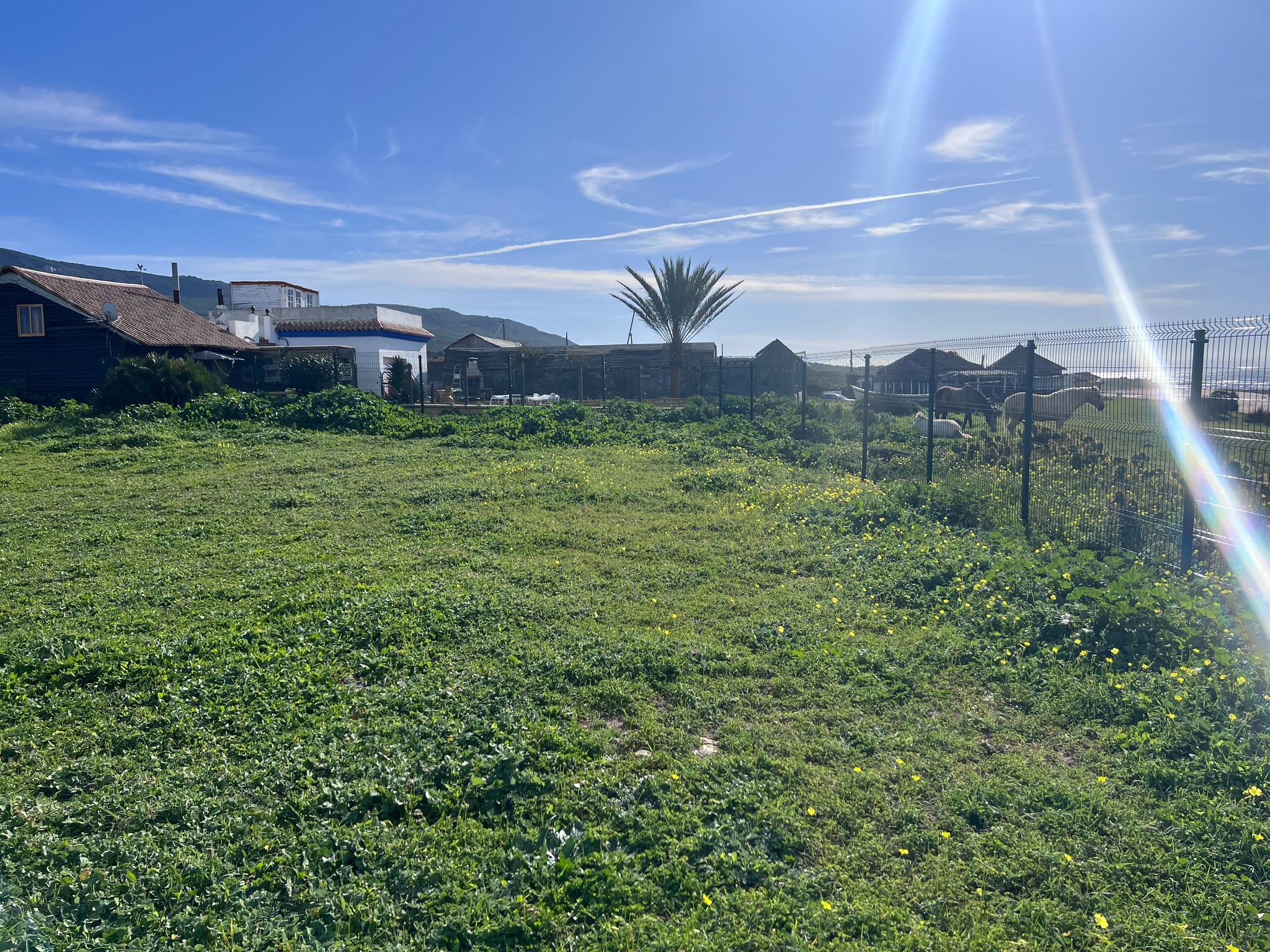 Plot · Tarifa · (963-00220P)