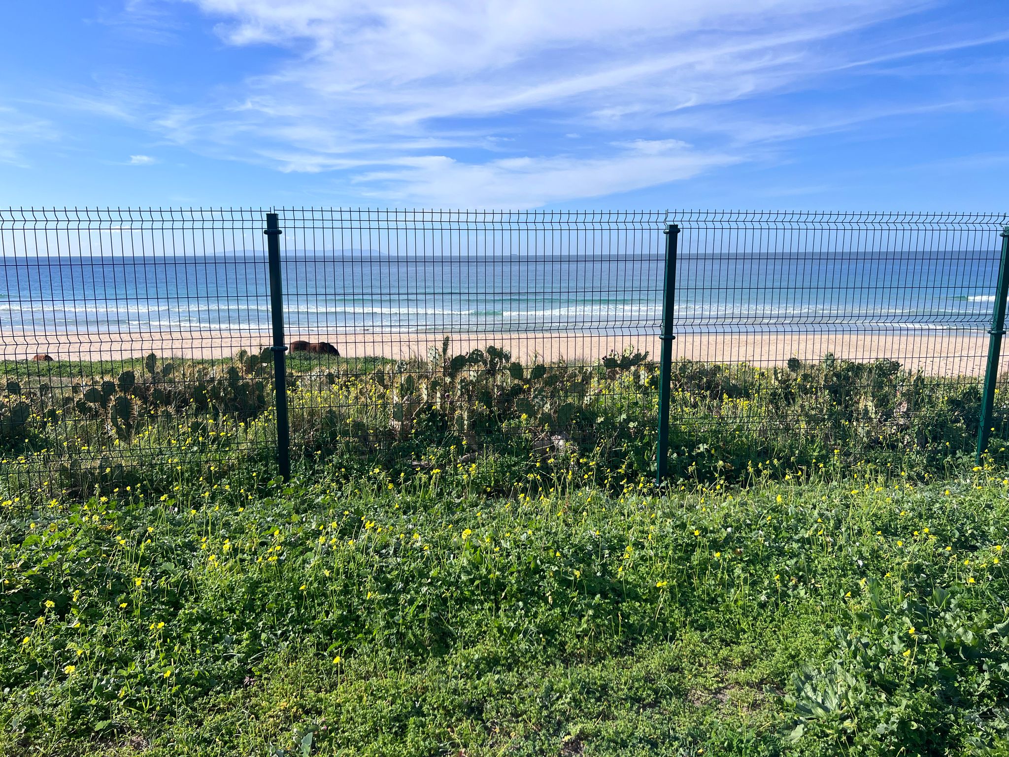 Plot · Tarifa · (963-00220P)