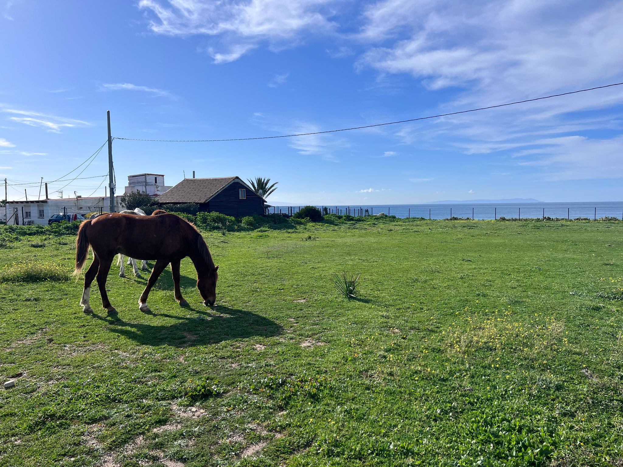 Plot · Tarifa · (963-00220P)